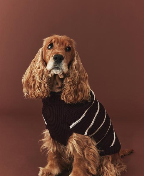 Rib Knit Turtleneck Sweater