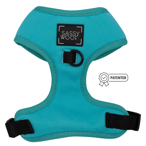 Adjustable Harness - Neon Blue
