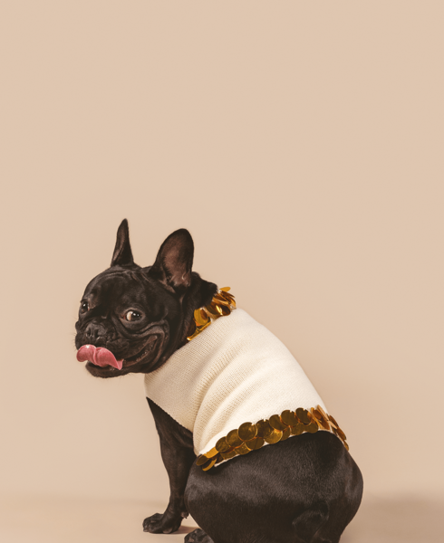 Fancy You Pet Sweater