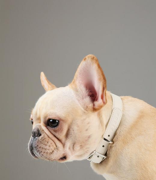 Calfskin Pet Collar