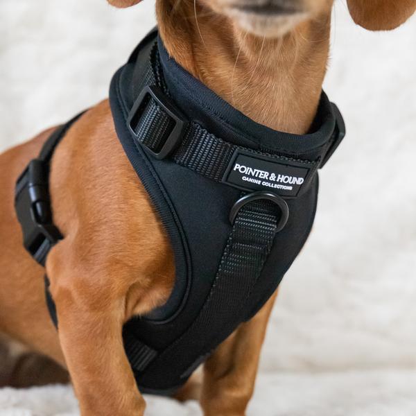 Colorstrap Harness Black