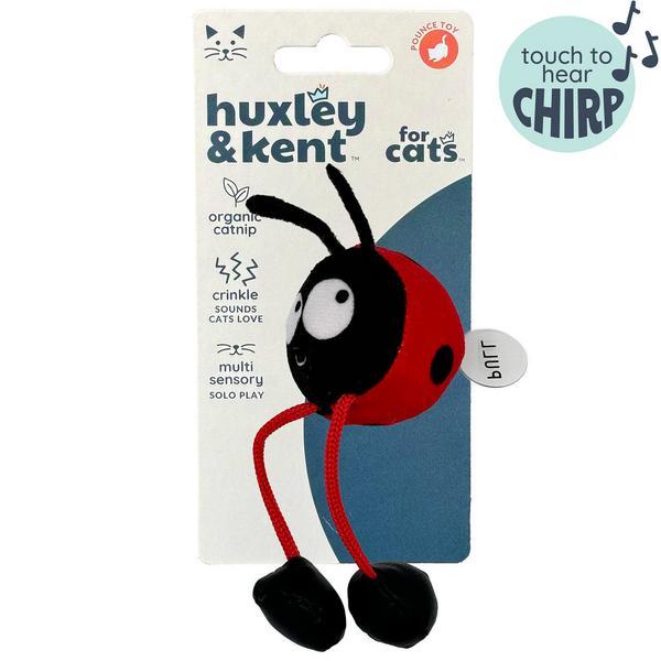 Ladybug Chirpy Interactive Toy