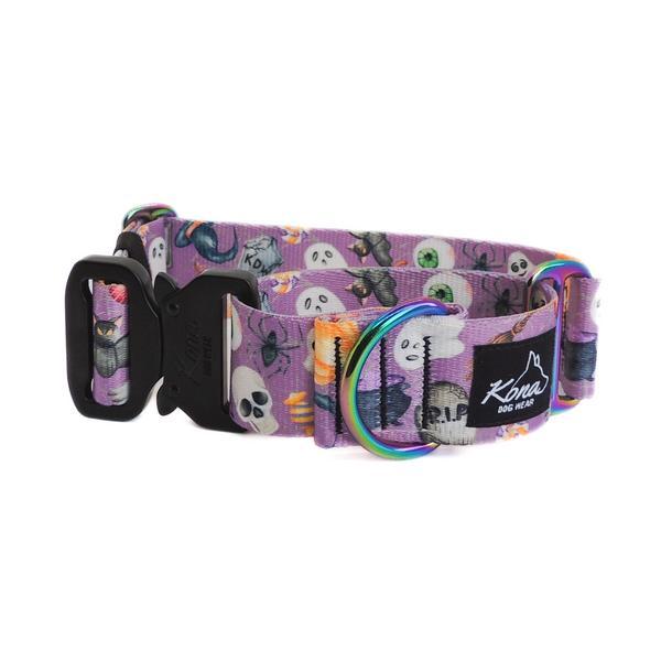 Martingale Training Collar