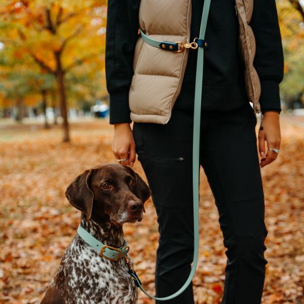 Waterproof Biothane Hands Free Leash