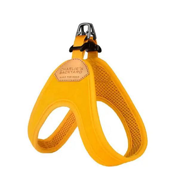 Buckle-up Easy Harness
