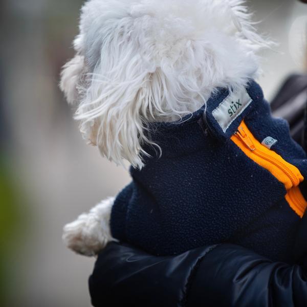 Dog Coat