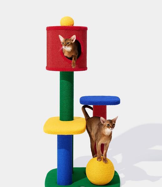 Chroma Enclosed Top Climber