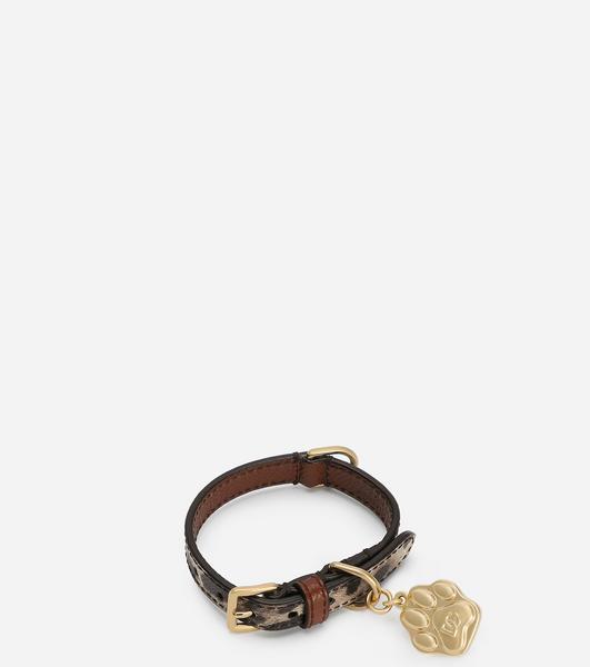 Leopard Print Collar