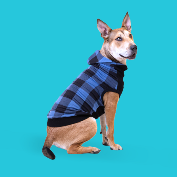 Blue Ox Buffalo Check Print