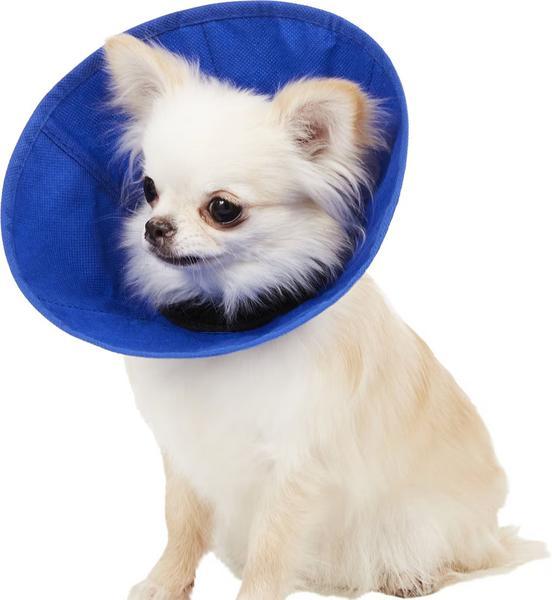 Ez Soft Recovery Collar