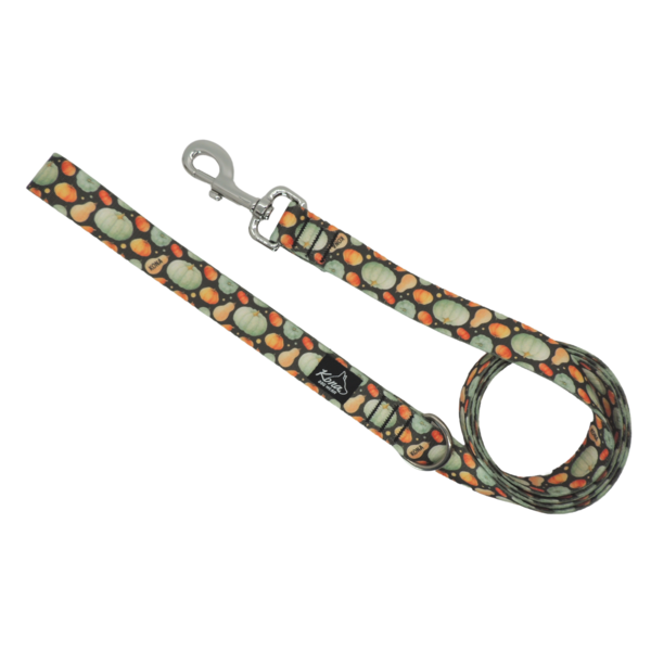 High Strength Webbing Leash