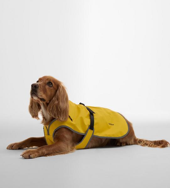 Waterproof Coat