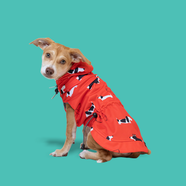 Long Breed Print Waterproof Raincoat
