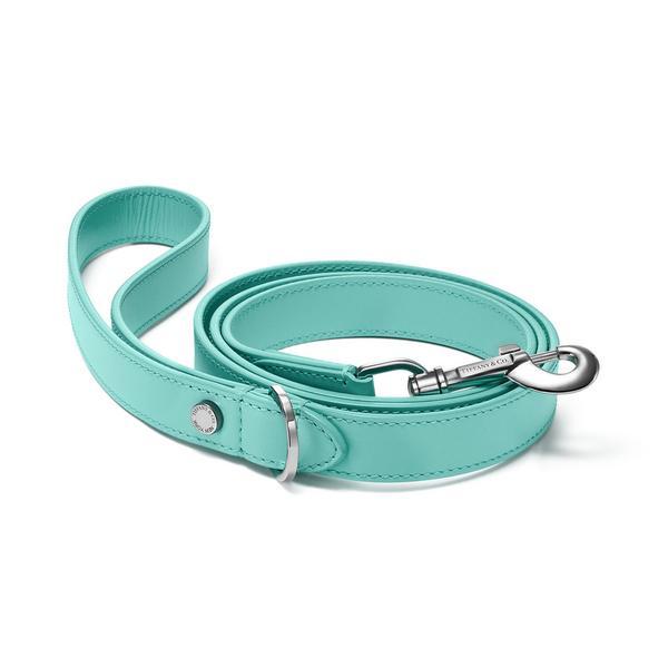 Leather Pet Leash