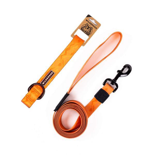 Terracotta Waterproof Leash and Collar Bundle