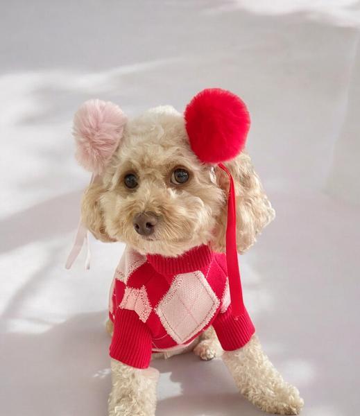 Red Argyle Print Jumper