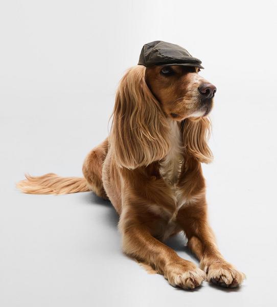 Wax Flat Cap