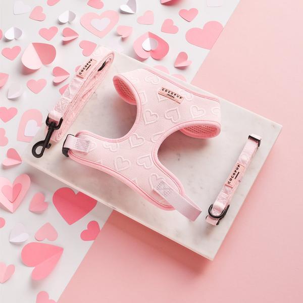 Baby Pink Heart Adjustable Neck Harness Lead Collar Bundle