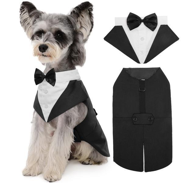 Tuxedo Suit and Bandana Set