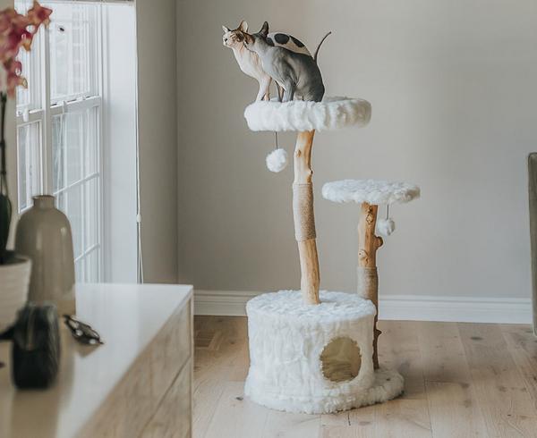 Luxury Two-Tier Cat Tower