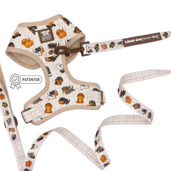 Two Piece Adjustable Harness And Leash Bundle