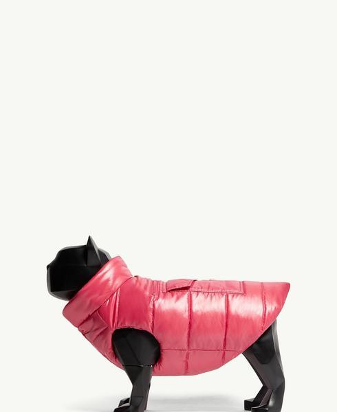 Padded Vest