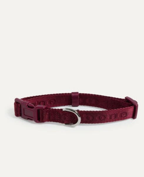 Signature Collar