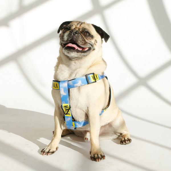 Sport Harness