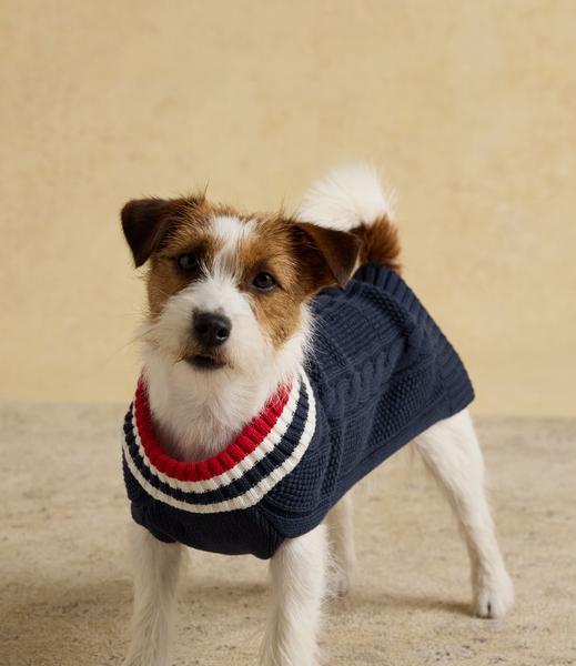 Navy Blue Knit Jumper