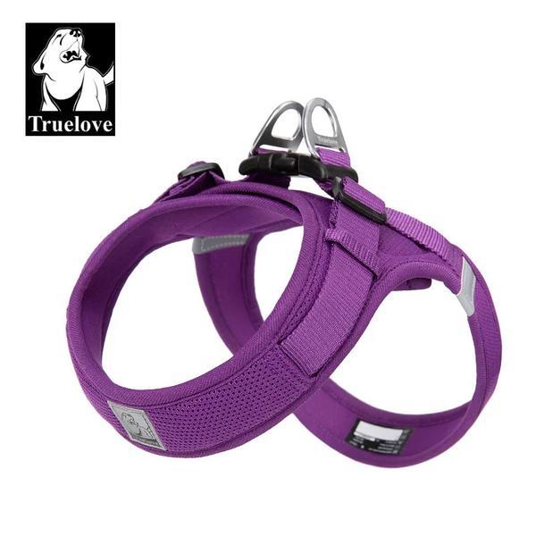 Mesh Harness