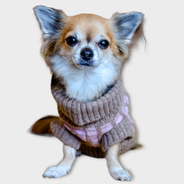Pink Jumper