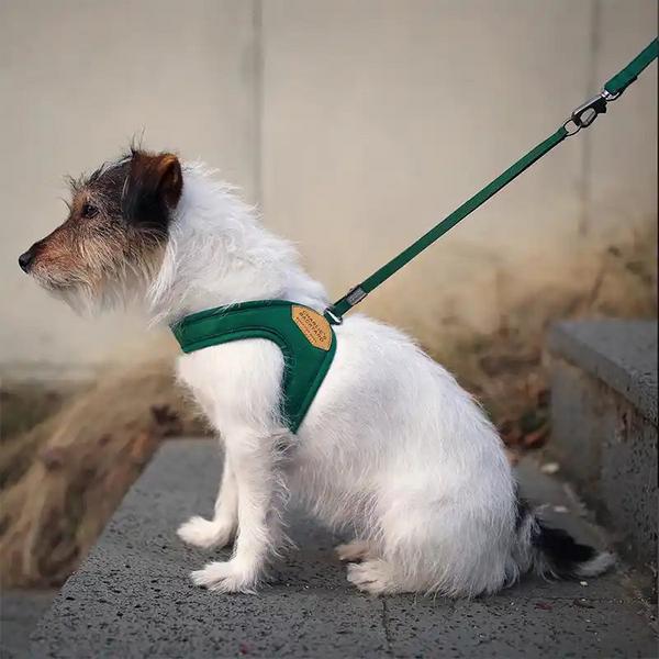 Easy Adjustable Harness