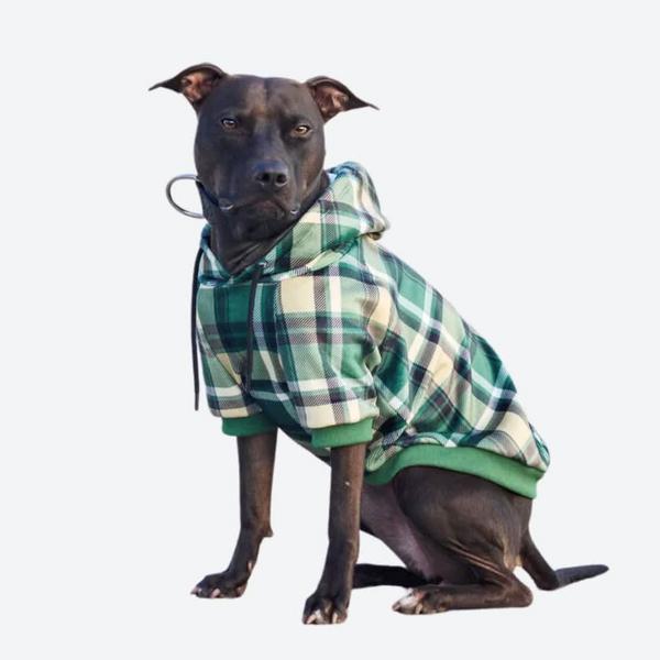 Green Plaid Hoodie