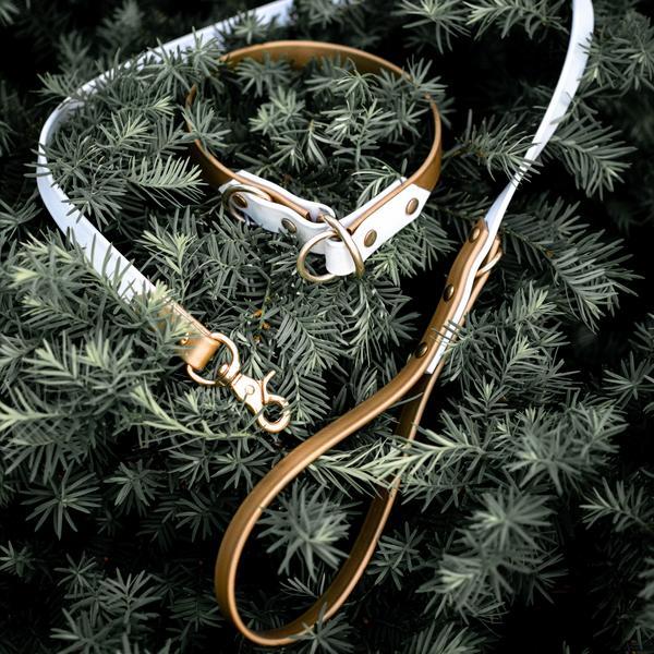 Two Tone Slip Collar And Leash Package