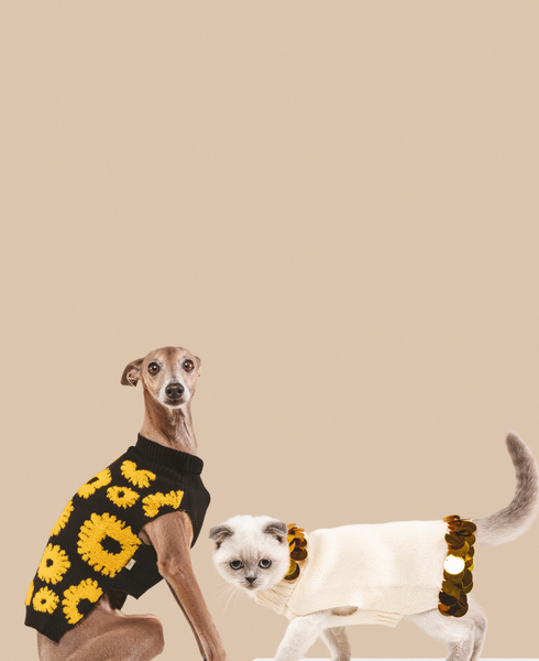 Petite Sweater Bundle