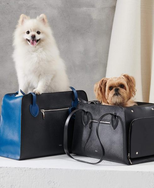 Cobalt Shaya Pet Carrier