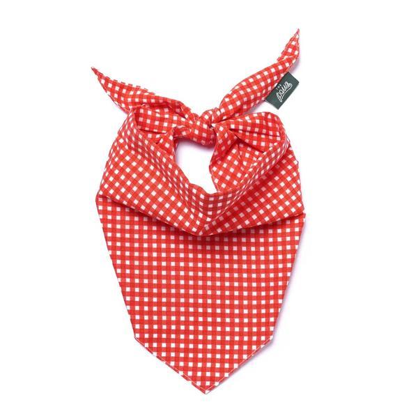 Red Gingham Picnic Bandana
