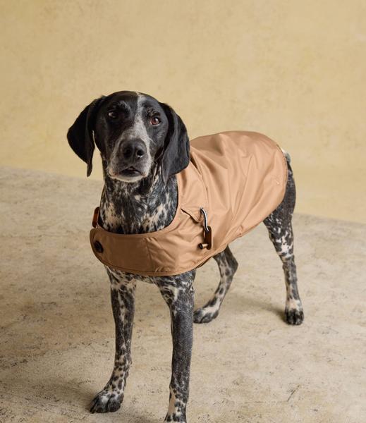 Brown Water-Resistant Jacket