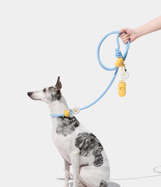 Walk Kit