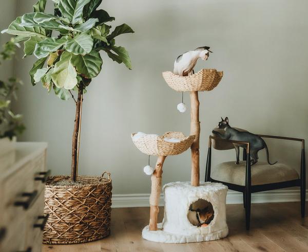 Luxury Cat Tree With Rattan Basket And Plush Beds