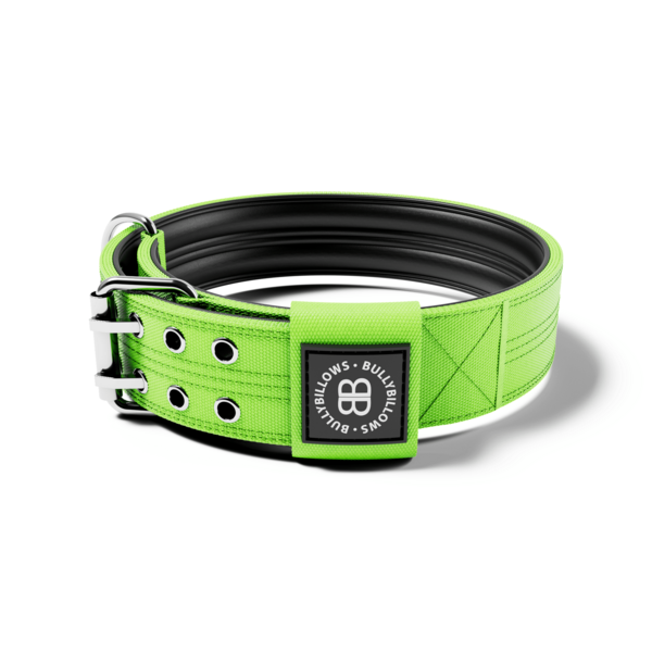 Sporting Collar No Handle Neon