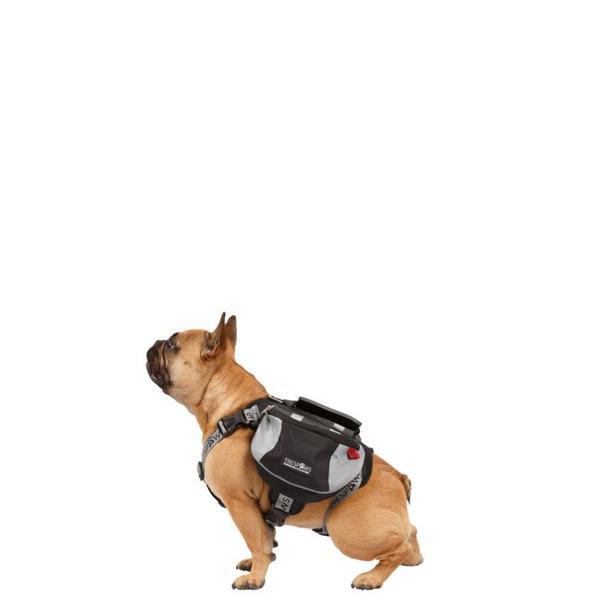 Small Backpack Harness Snooper