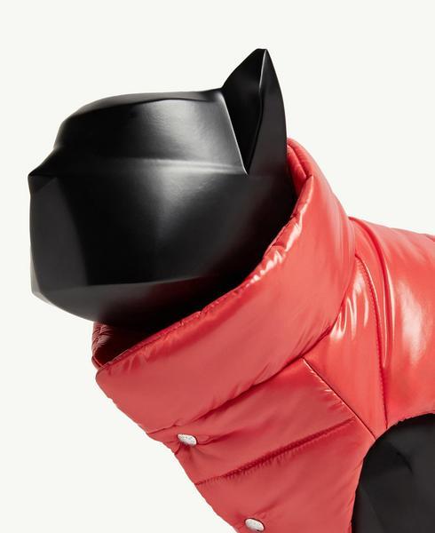 Padded Vest for Dogs