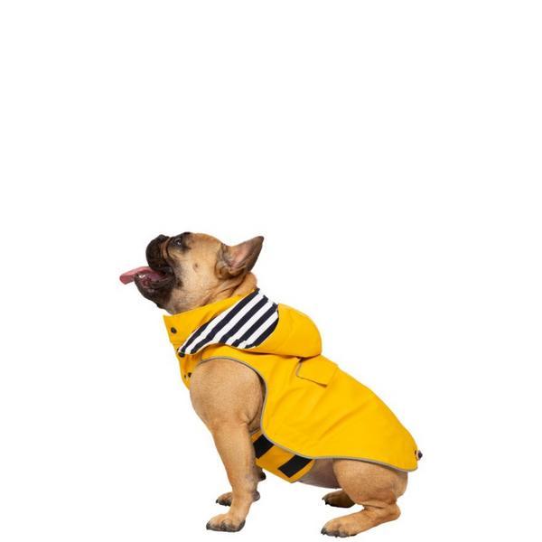 Small Waterproof Coat With Hood