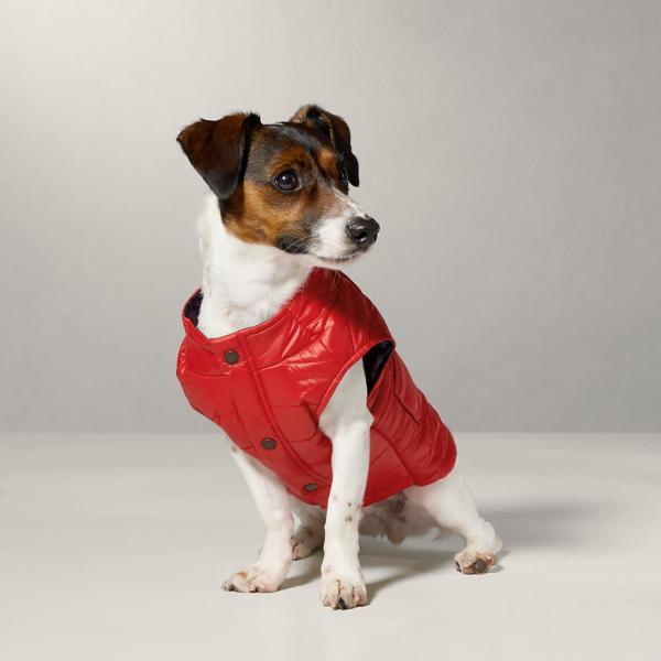 Quilted Puffer Jacket