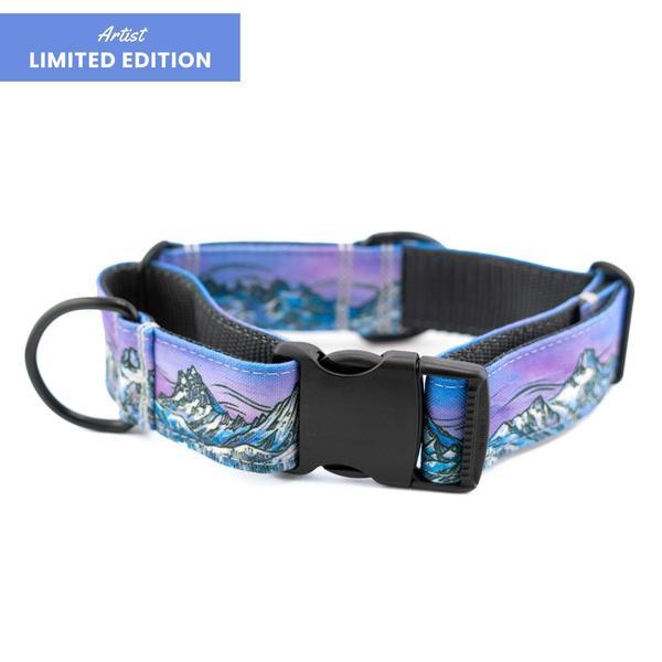 Hybrid Martingale Collar