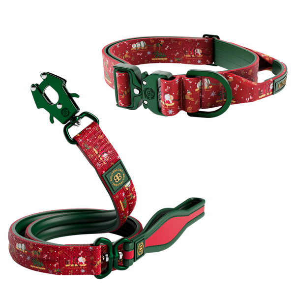 Combat Spirit Bundle Collar And Lead