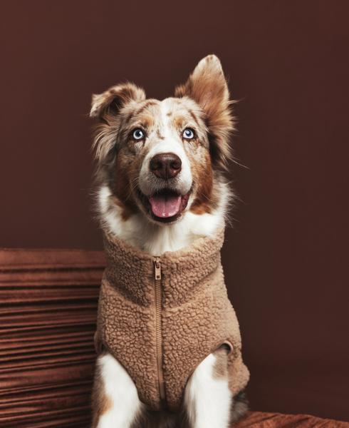 Teddy Fleece Jacket