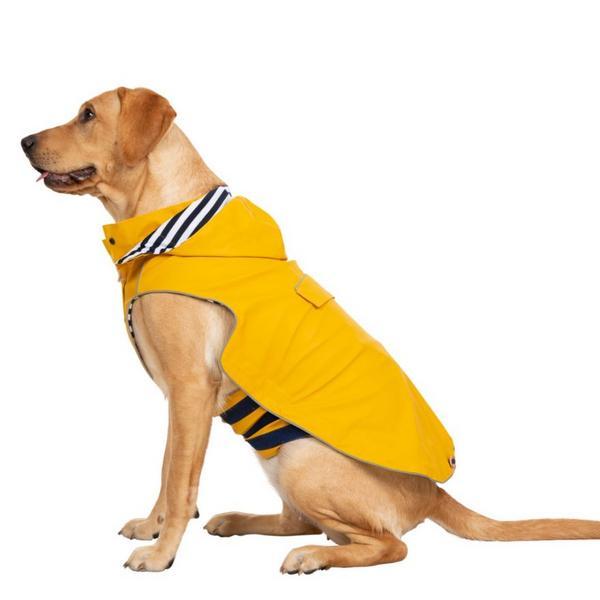 Large Waterproof Coat With Hood