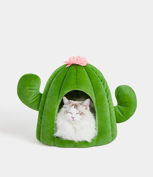 Oasis Cactus Pet Bed